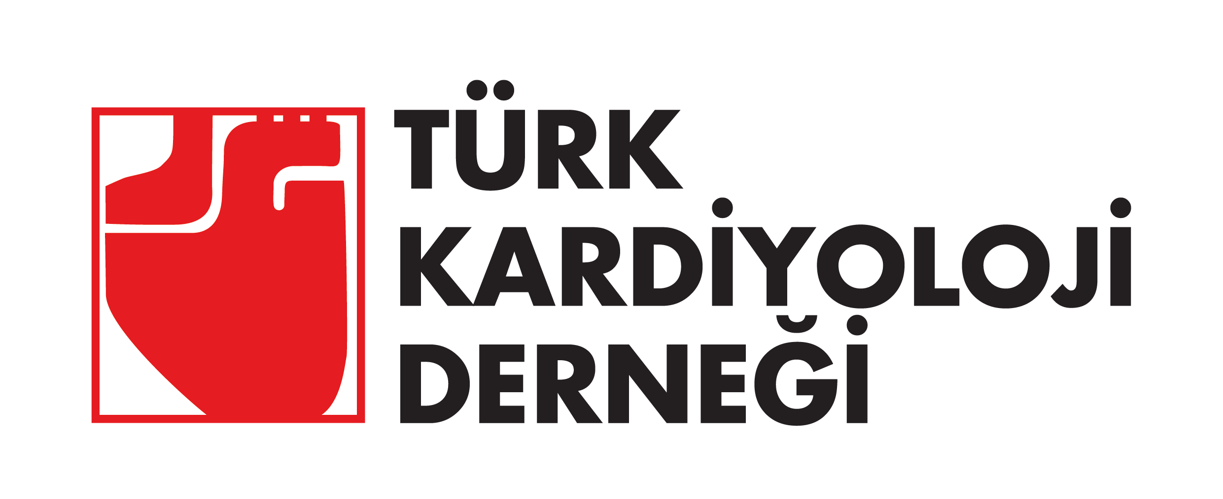 TKD logo_Çalışma Yüzeyi 1.png